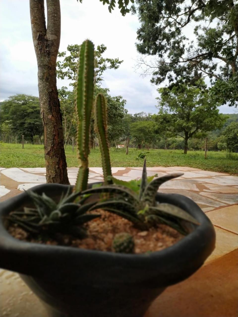 Recanto Do Baru Pirenópolis 外观 照片